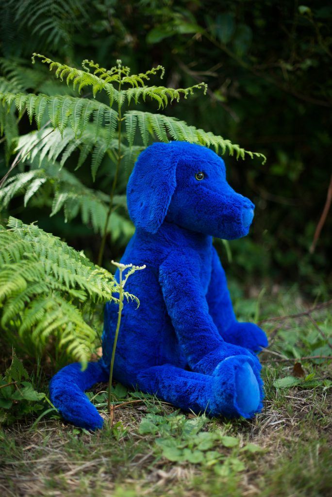 la peluche toute douce de chien bleu