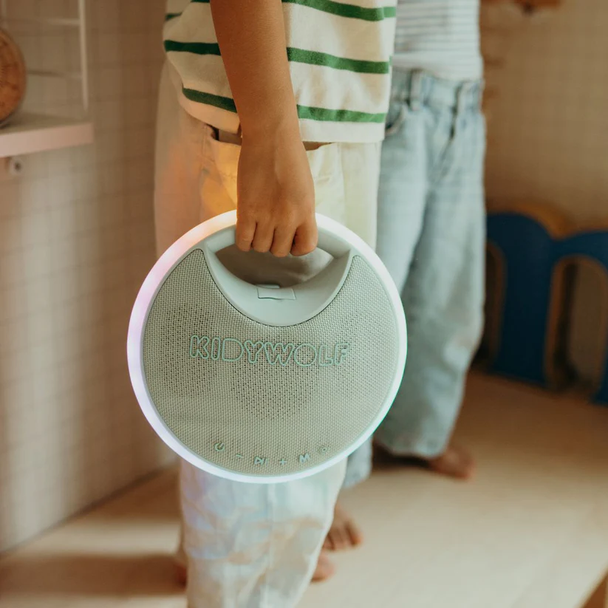 le karaoké avec deux micros